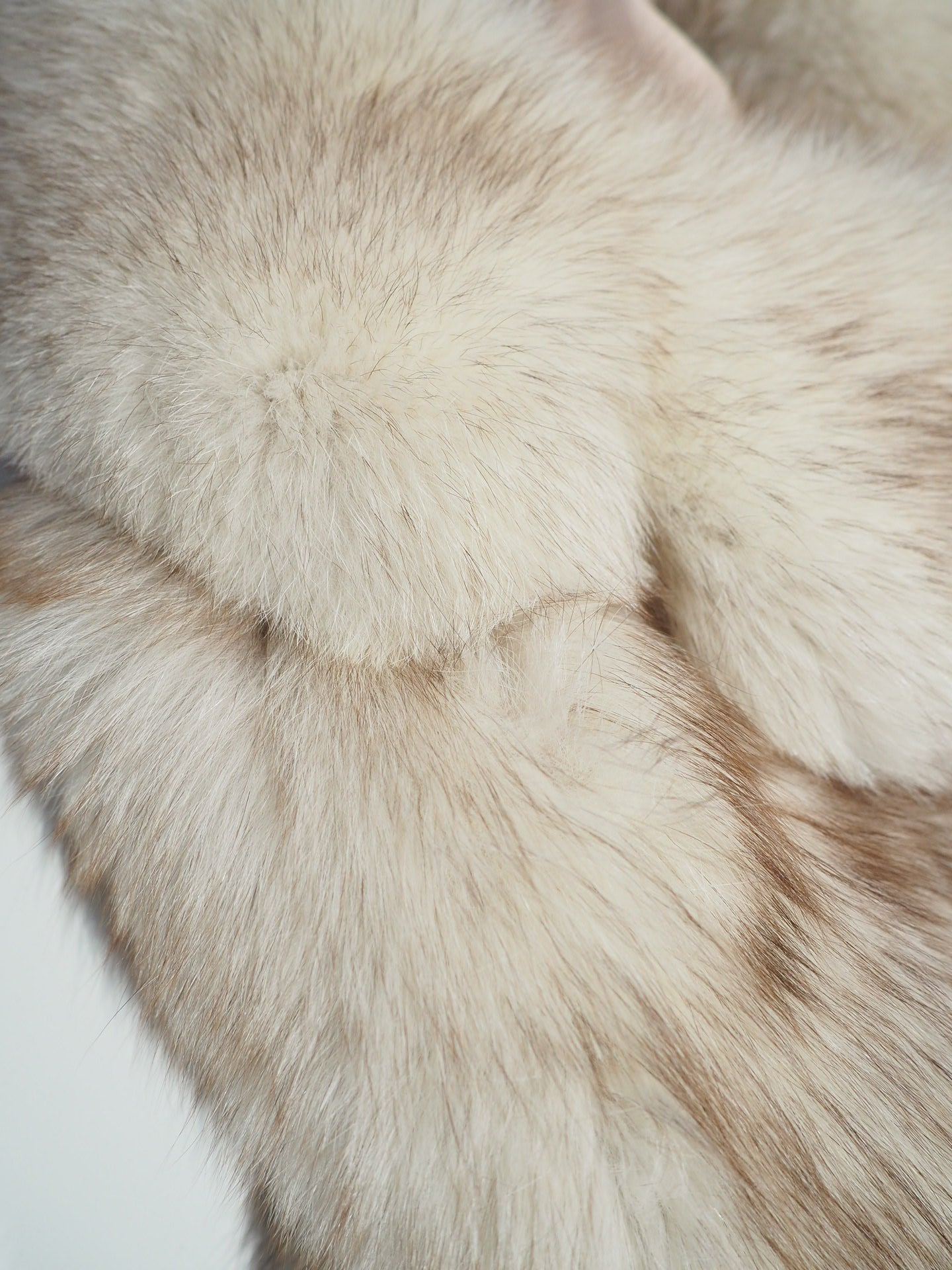 Veste en renard 1970