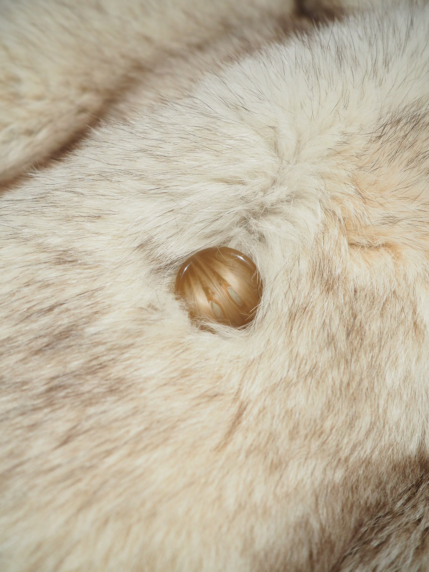 Veste en renard 1970